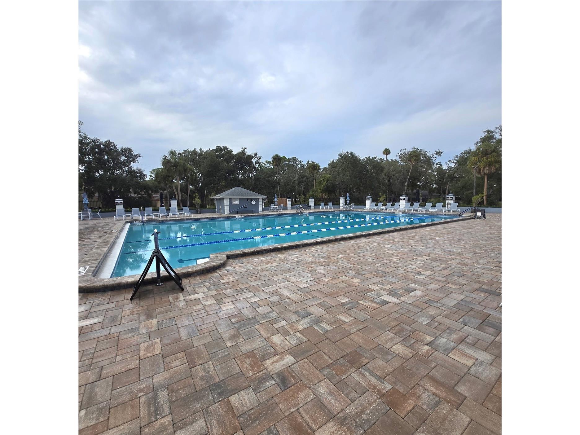 9707 Cypress Shadow Avenue Tampa FL 33647 TB8475368 image19