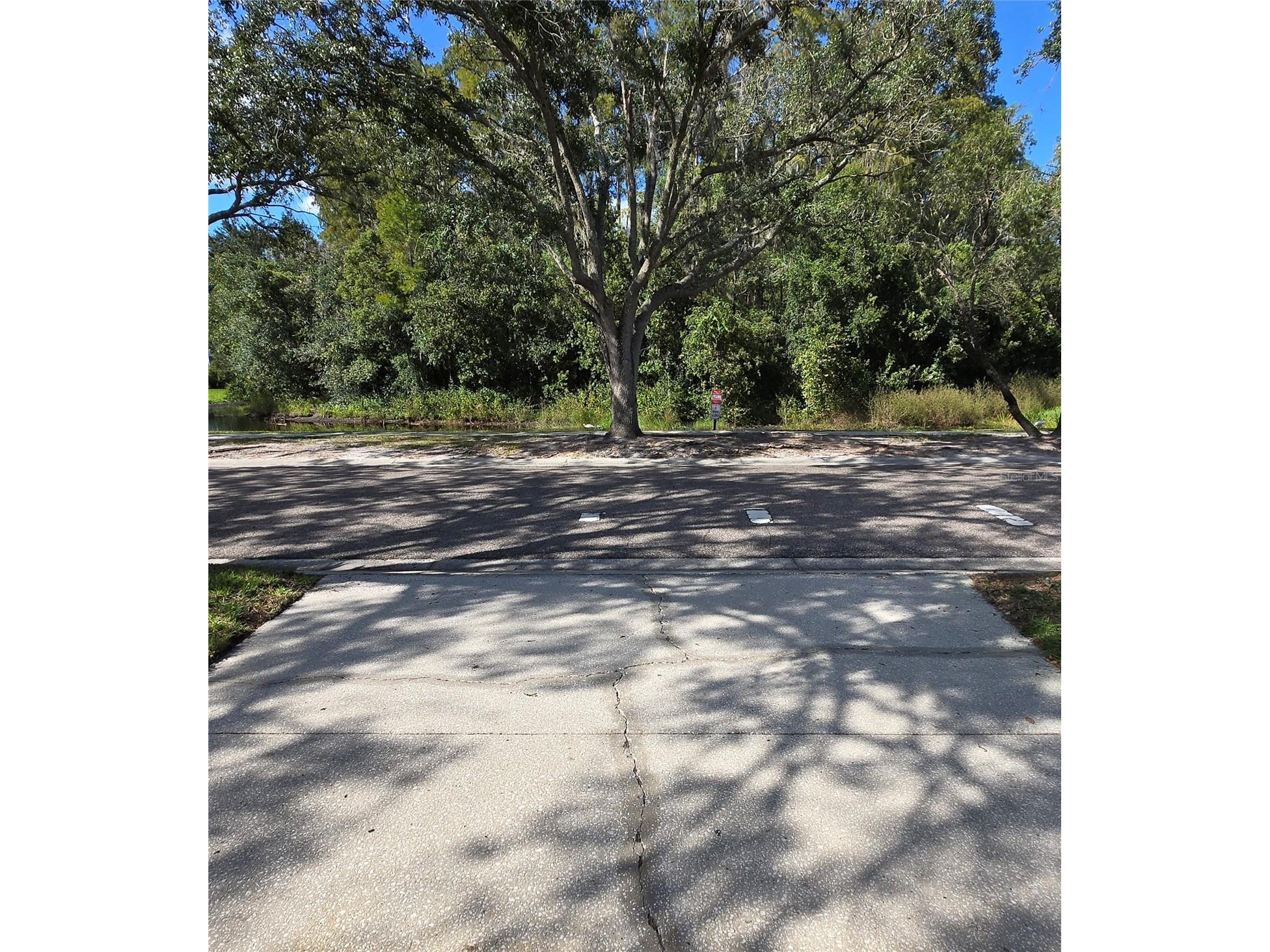9707 Cypress Shadow Avenue Tampa FL 33647 TB8475368 image2