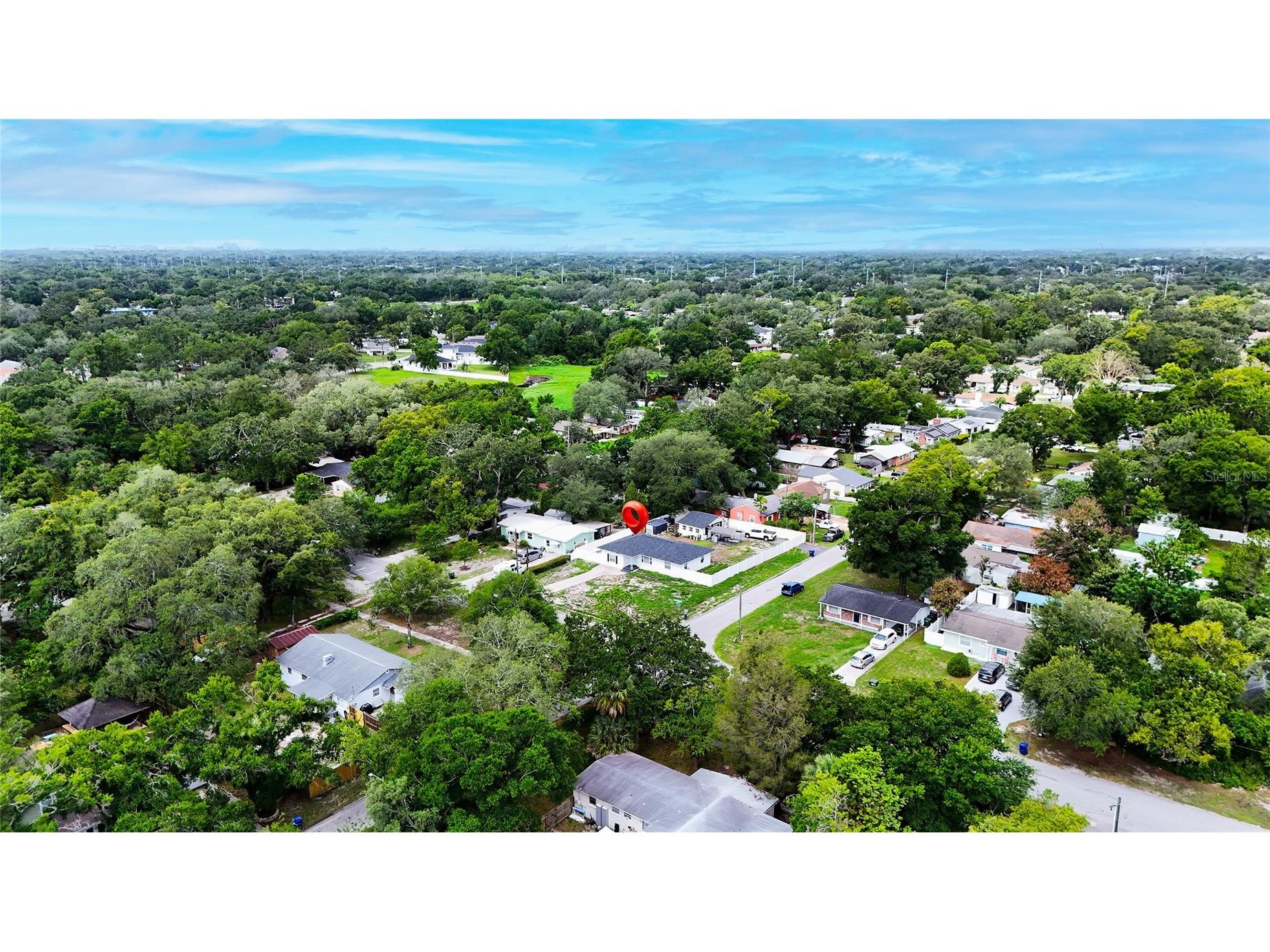 9708 Forest Hills Drive Tampa FL 33612 TB8515071 image3