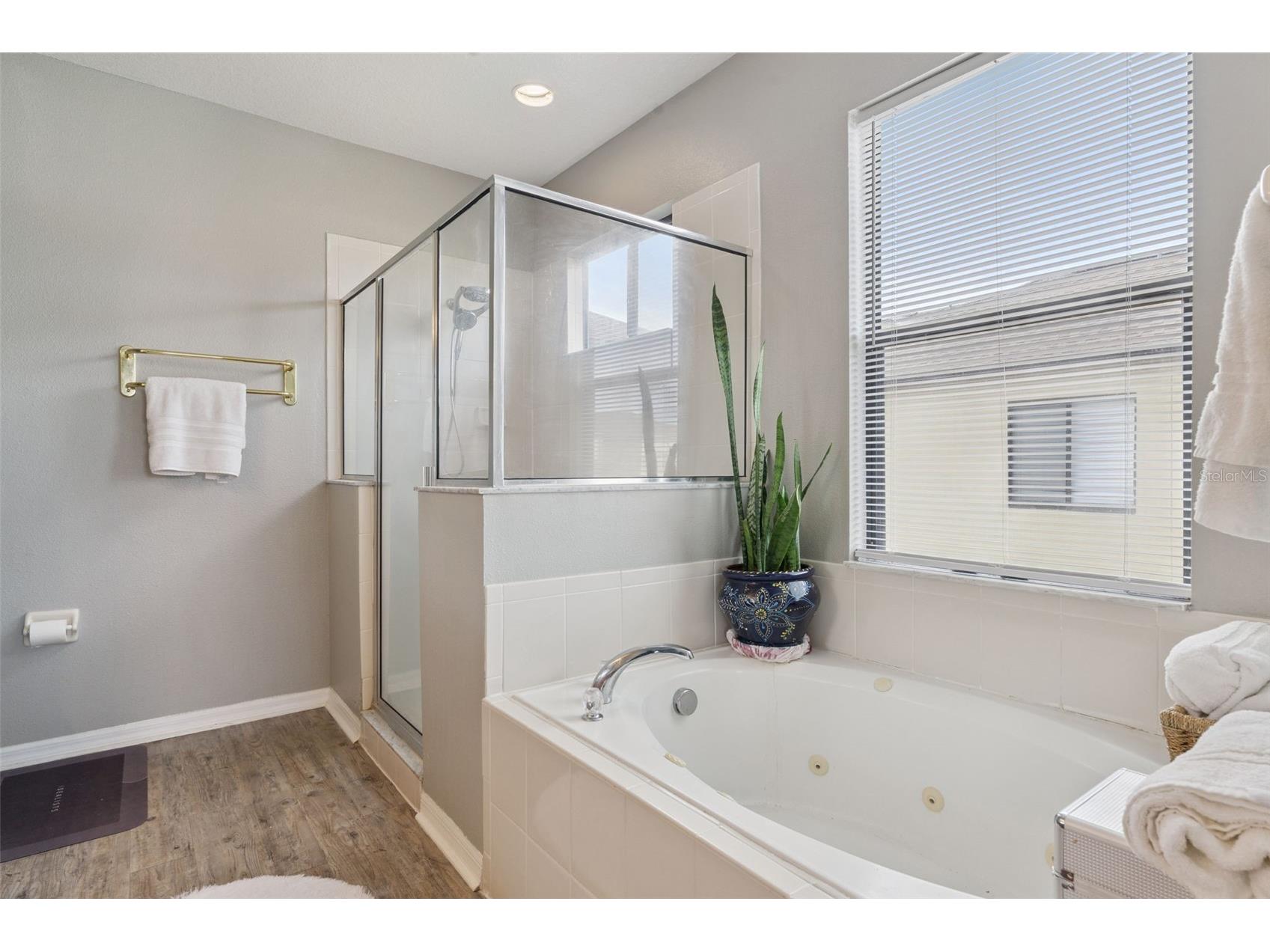 9708 Old Patina Way Orlando FL 32832 O6391022 image35