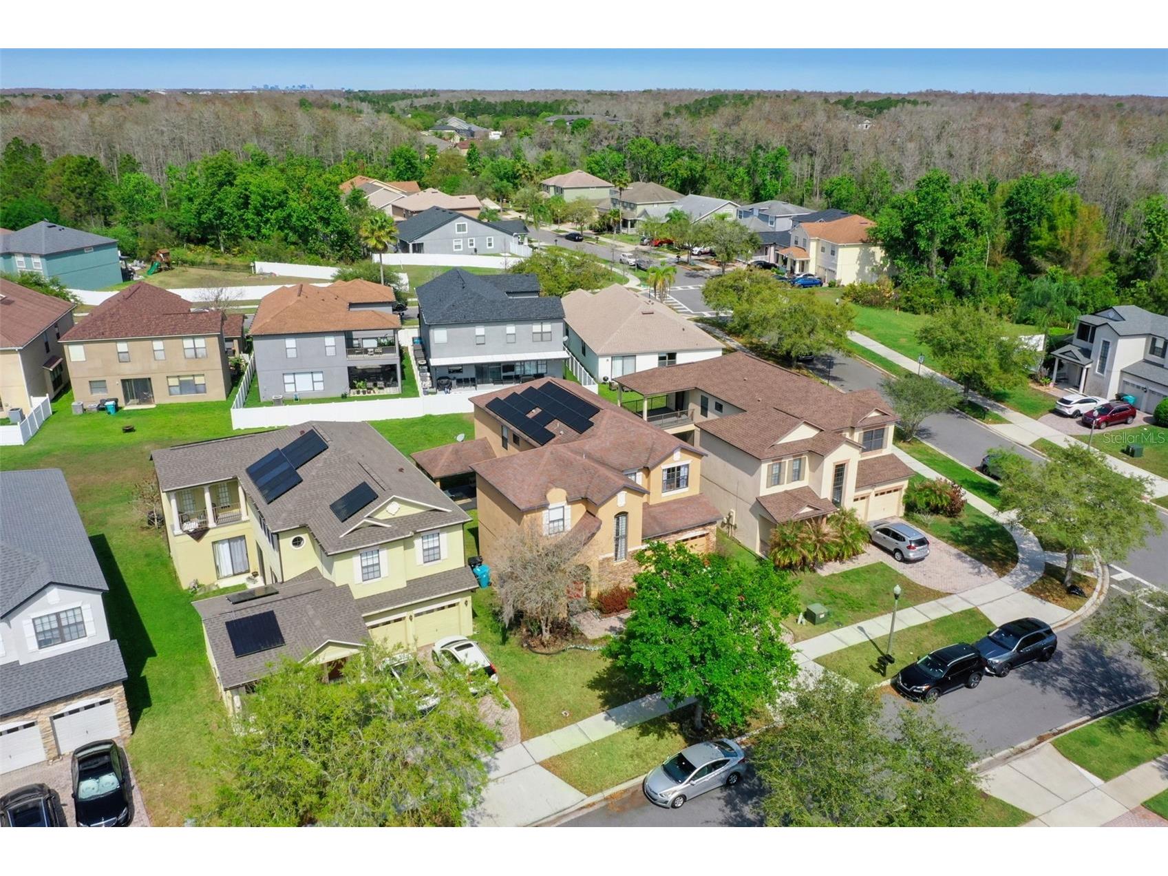 9708 Old Patina Way Orlando FL 32832 O6391022 image47