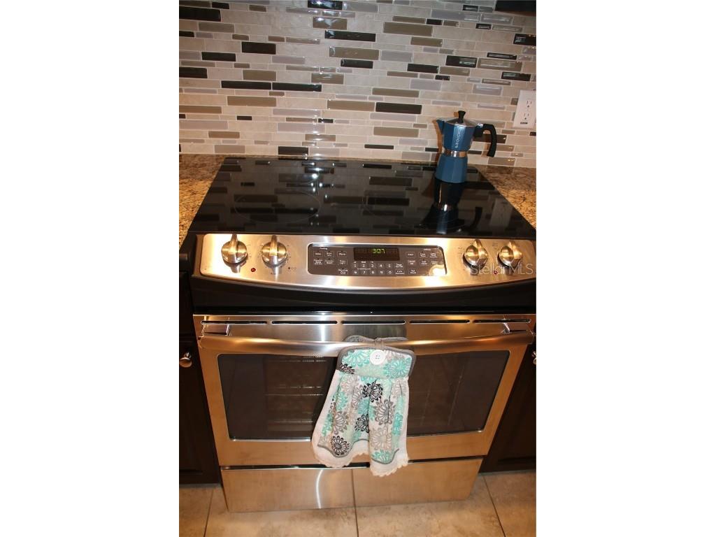 971 Celtic Circle Tarpon Springs FL 34689 TB8462447 image13