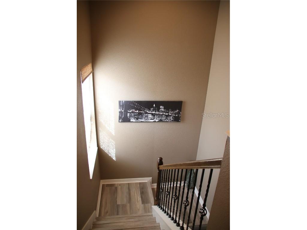 971 Celtic Circle Tarpon Springs FL 34689 TB8462447 image7