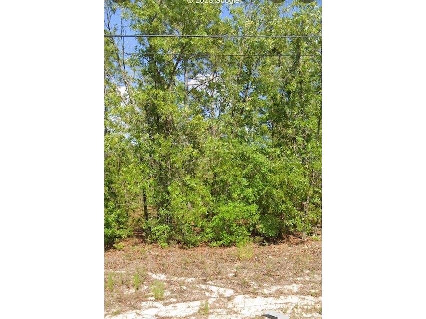 971 W Homeway Loop Citrus Springs FL 34434 S5088805 image1