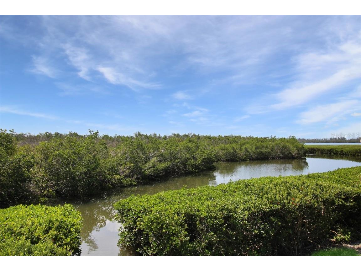 971 Waterside Lane Bradenton FL 34209 A4655096 image34