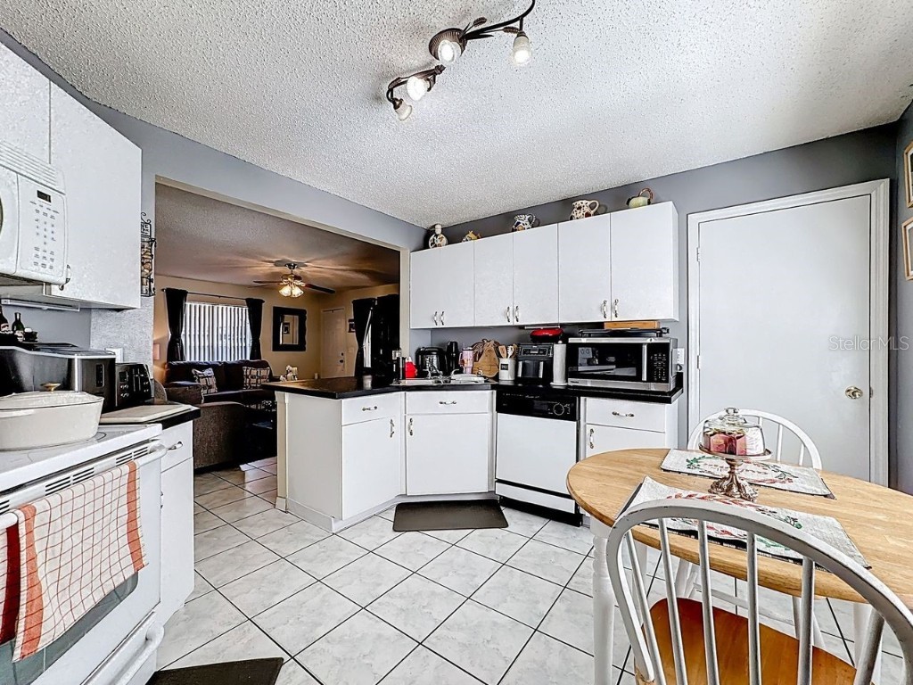 9710 Lupine Avenue Orlando FL 32824 O6346696 image13