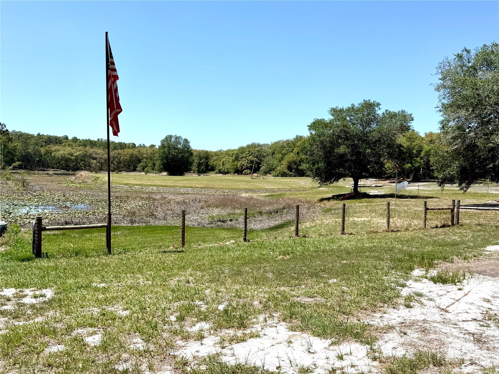 9711 SE Highway 464c Ocklawaha FL 32179 OM723134 image53