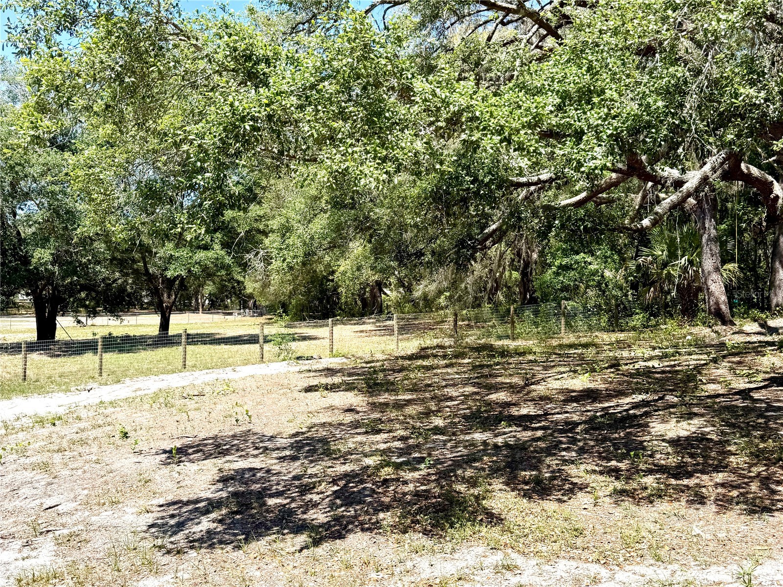 9711 SE Highway 464c Ocklawaha FL 32179 OM723134 image54