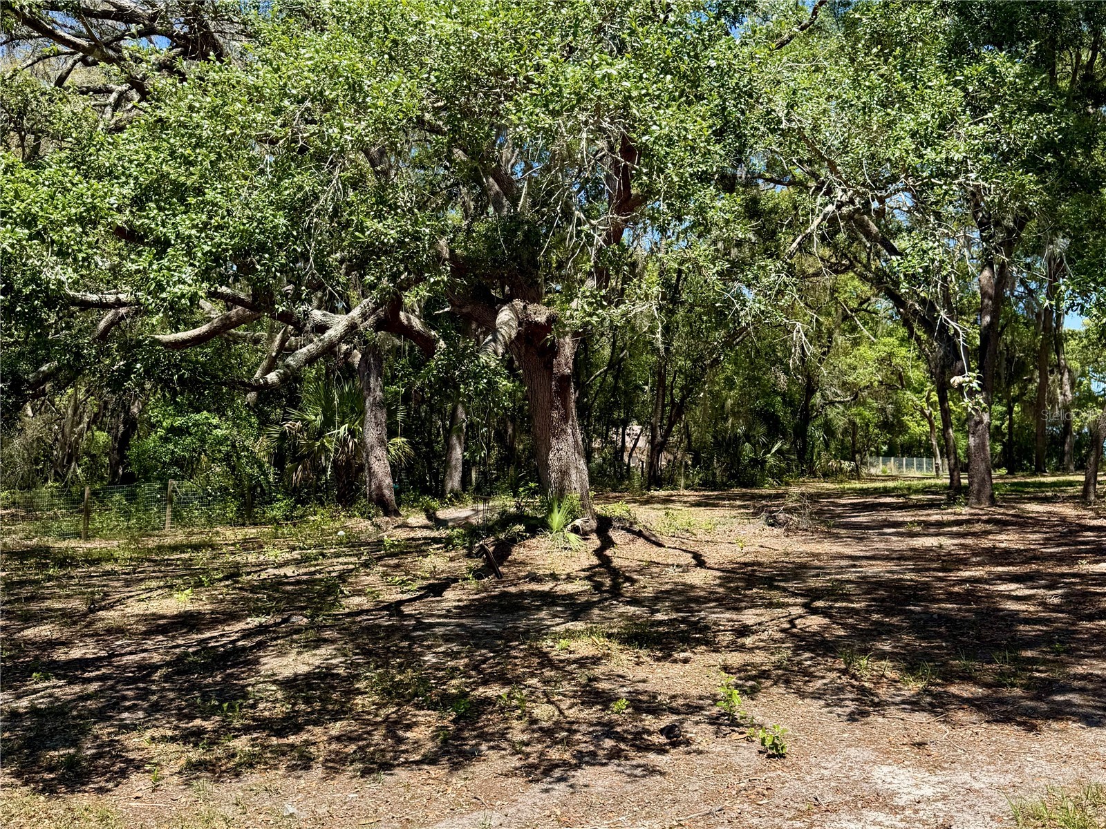 9711 SE Highway 464c Ocklawaha FL 32179 OM723134 image55