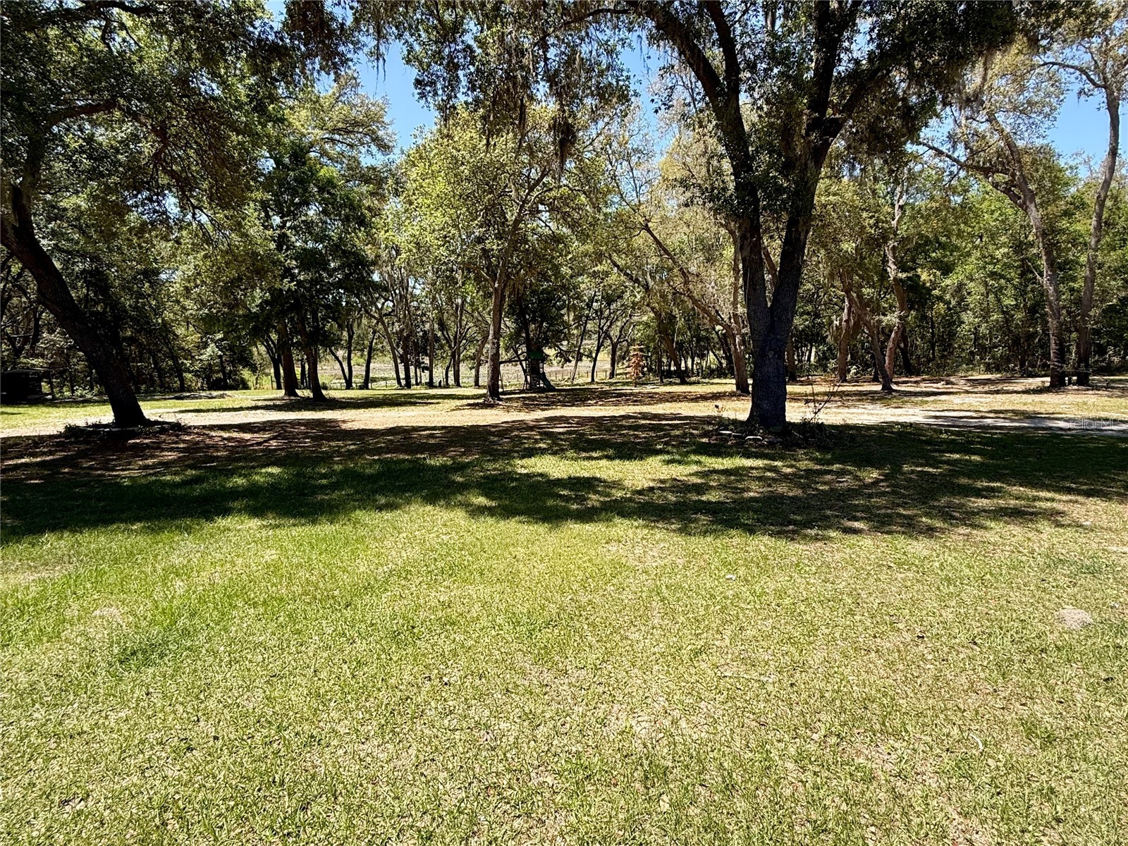9711 SE Highway 464c Ocklawaha FL 32179 OM723134 image57