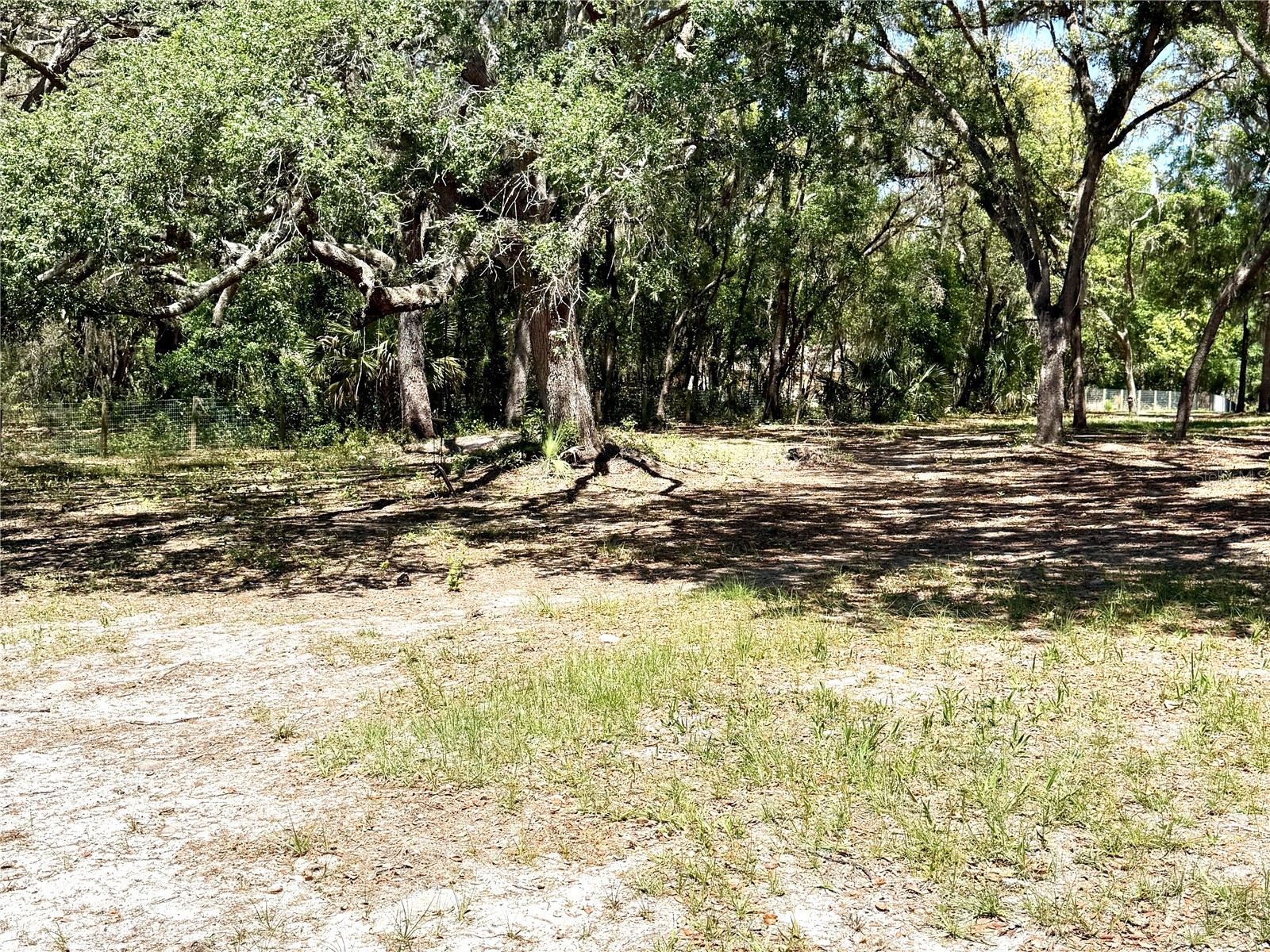 9711 SE Highway 464c Ocklawaha FL 32179 OM723134 image63
