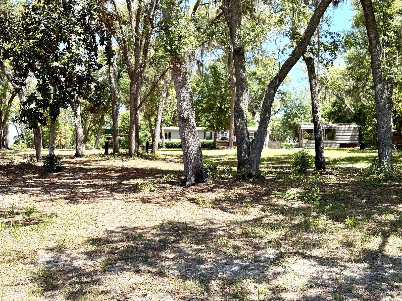 9711 SE Highway 464c Ocklawaha FL 32179 OM723134 image64