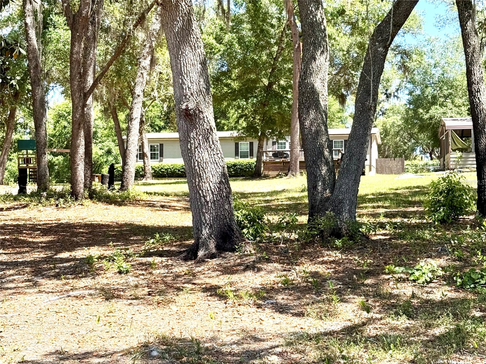 9711 SE Highway 464c Ocklawaha FL 32179 OM723134 image65
