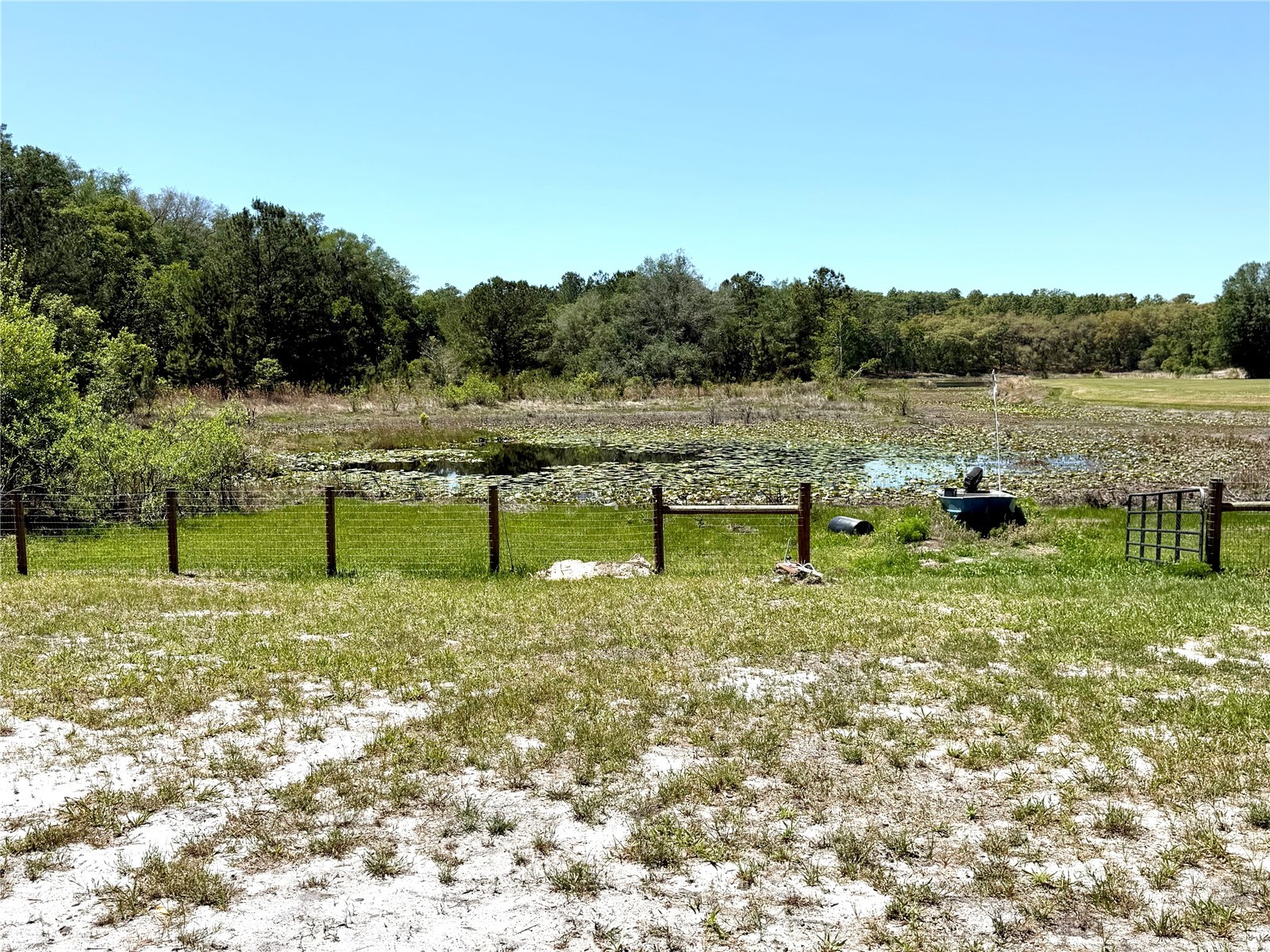 9711 SE Highway 464c Ocklawaha FL 32179 OM723134 image67