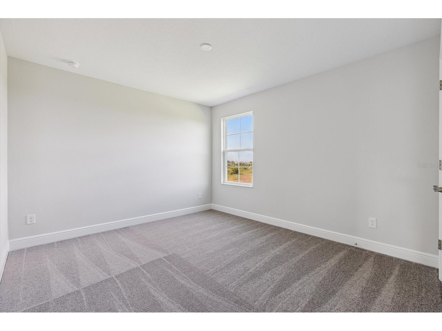 9711 Surrey Rose Drive San Antonio FL 33576 TB8435280 image19
