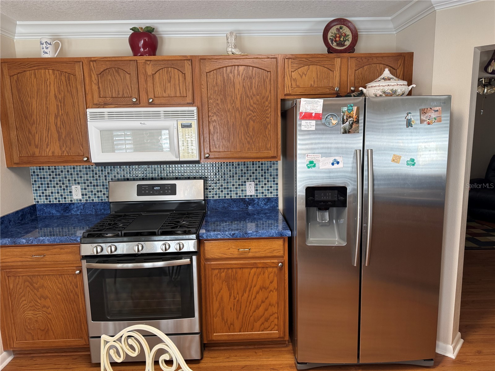 9711 SW 92nd Place Road Ocala FL 34481 FC316547 image5