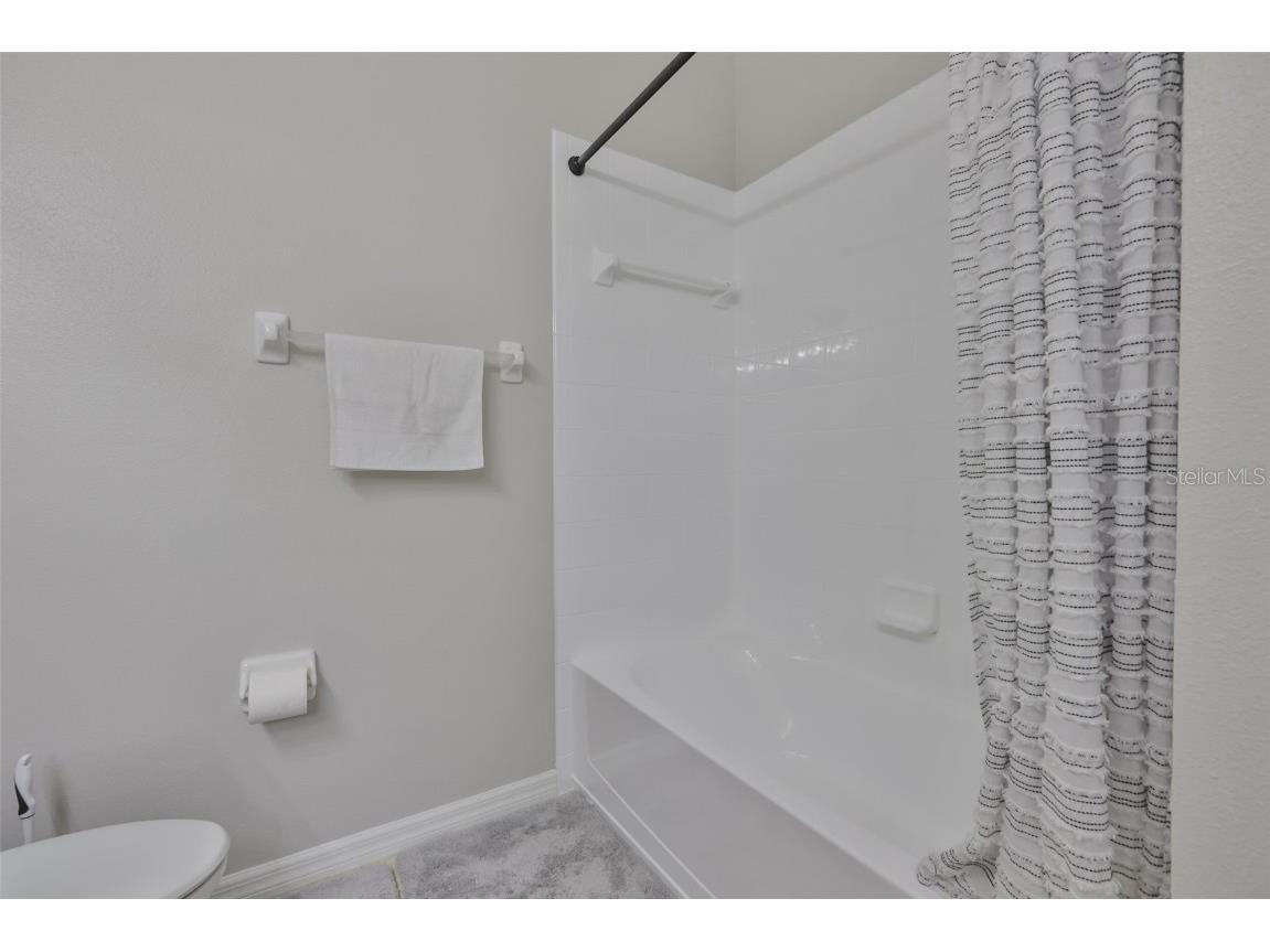 9712 Carlsdale Drive Riverview FL 33578 TB8449412 image23