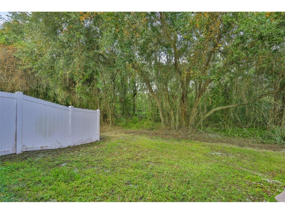 9712 Carlsdale Drive Riverview FL 33578 TB8449412 image29