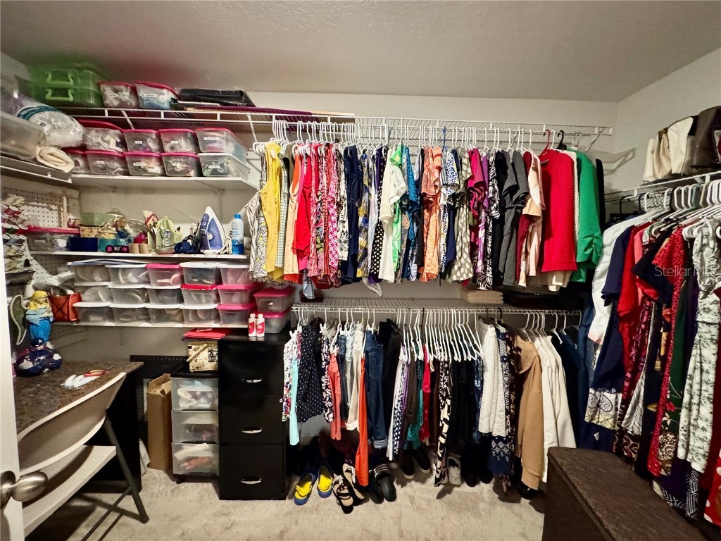 9712 Sage Creek Drive Ruskin FL 33573 TB8426236 image14