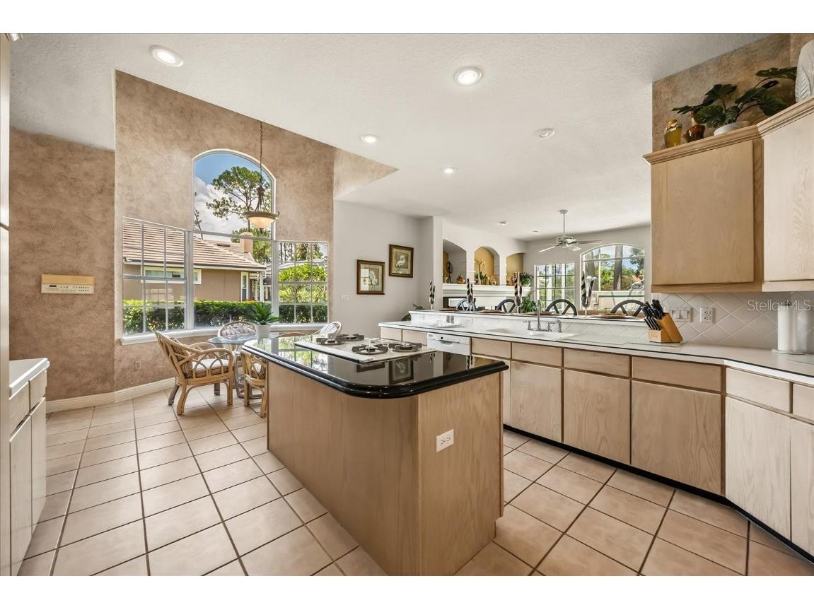 9713 Camberley Circle Orlando FL 32836 O6338366 image21