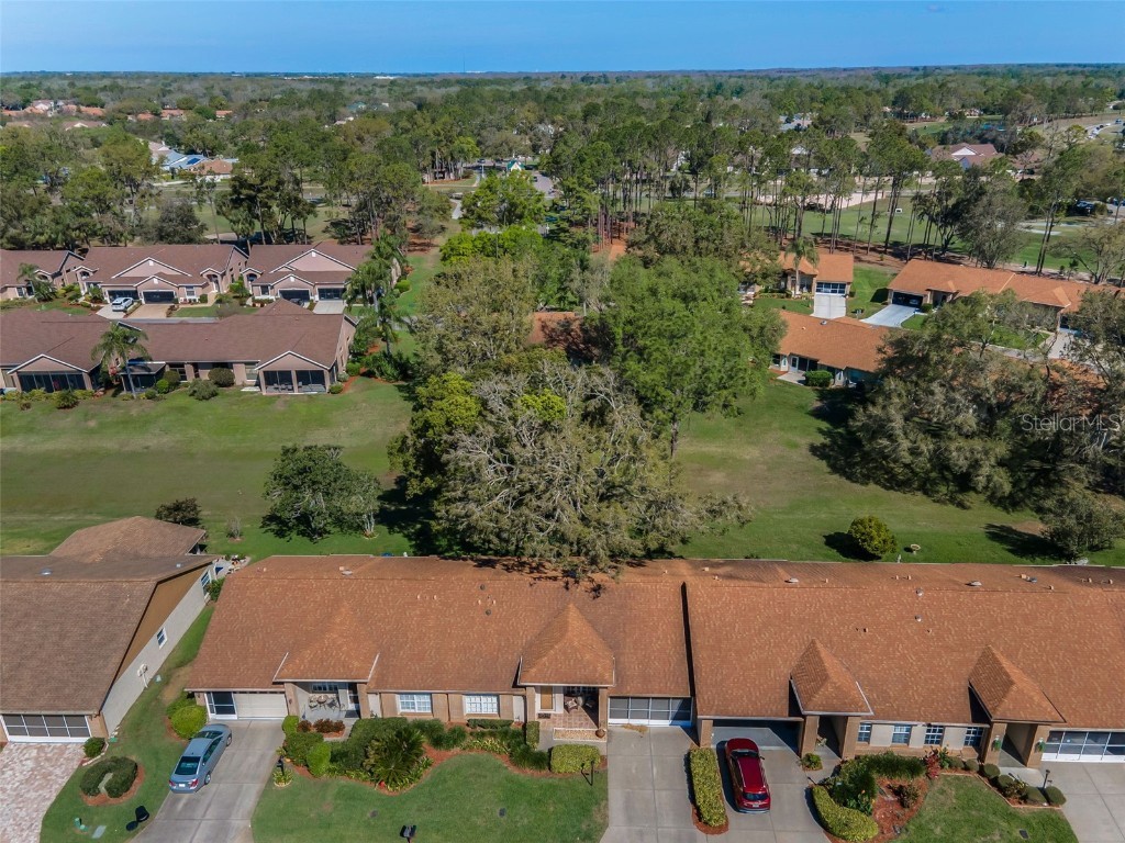 9713 Sweeping View Drive New Port Richey FL 34655 W7873274 image2