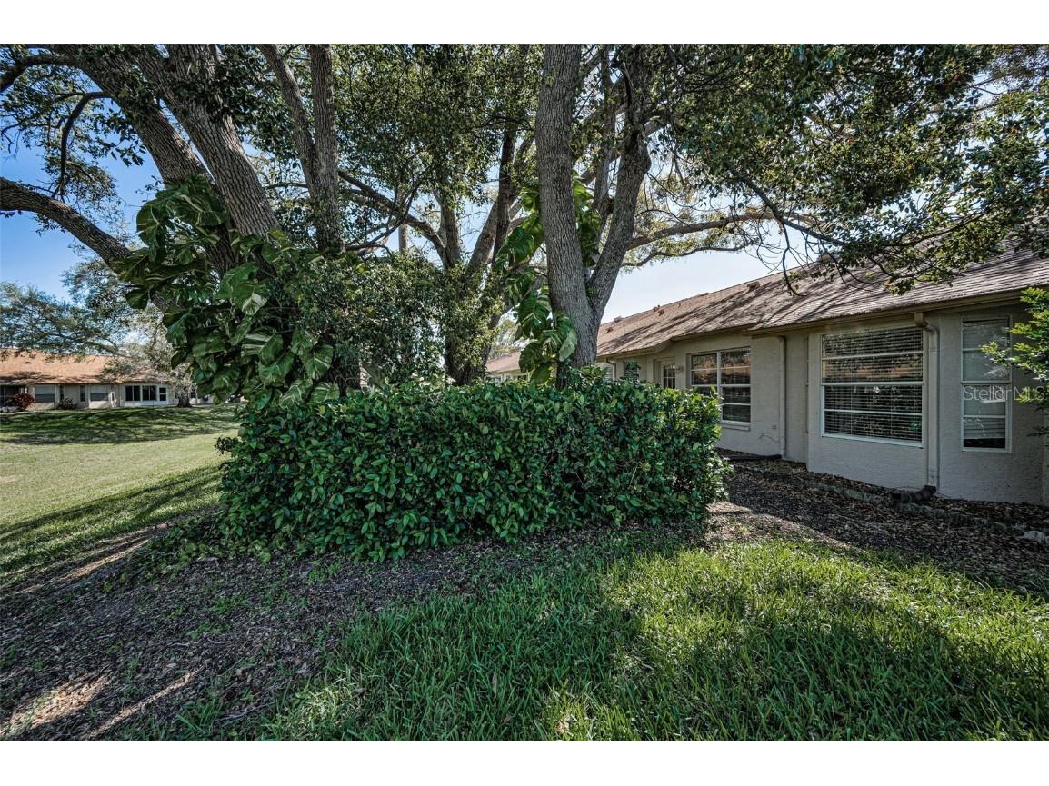 9713 Sweeping View Drive New Port Richey FL 34655 W7873274 image40