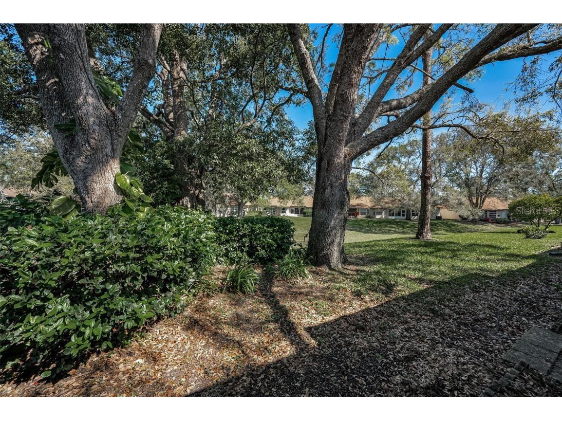 9713 Sweeping View Drive New Port Richey FL 34655 W7873274 image41