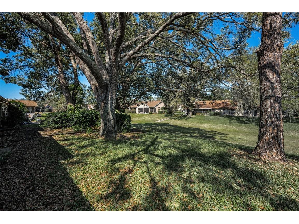 9713 Sweeping View Drive New Port Richey FL 34655 W7873274 image43