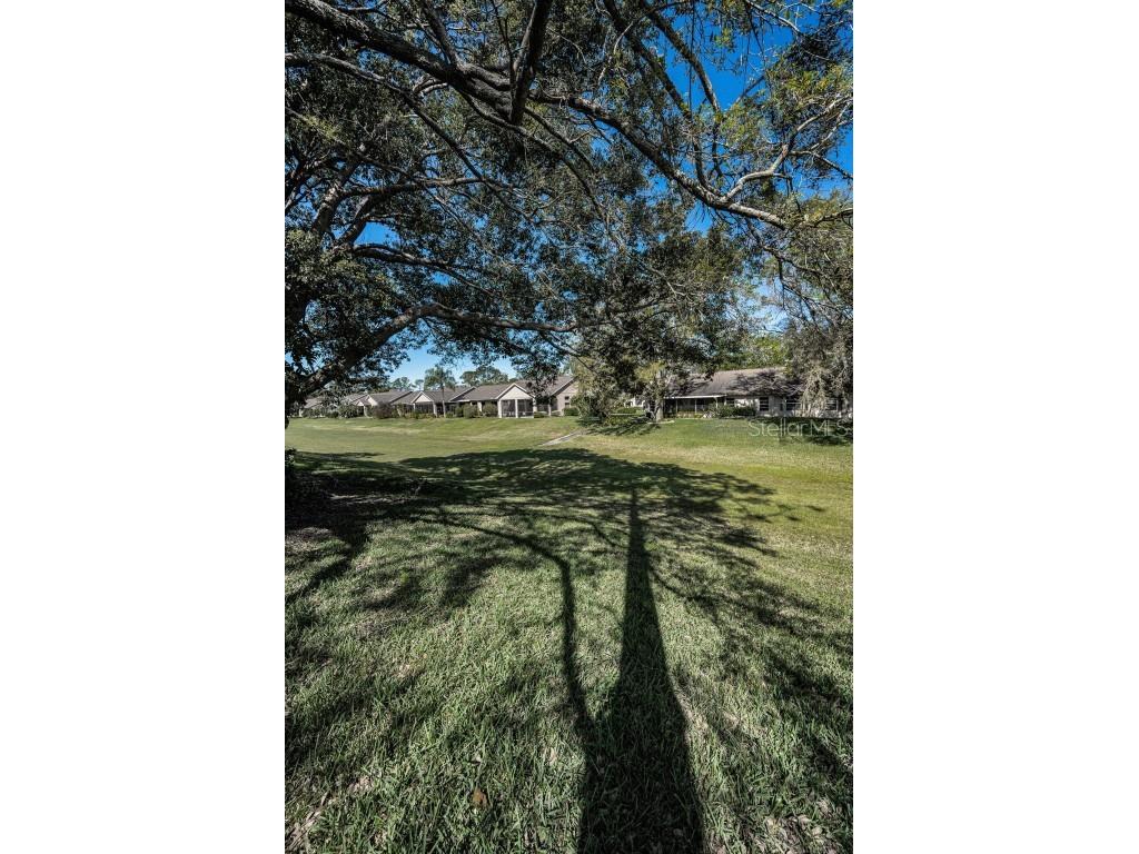 9713 Sweeping View Drive New Port Richey FL 34655 W7873274 image44