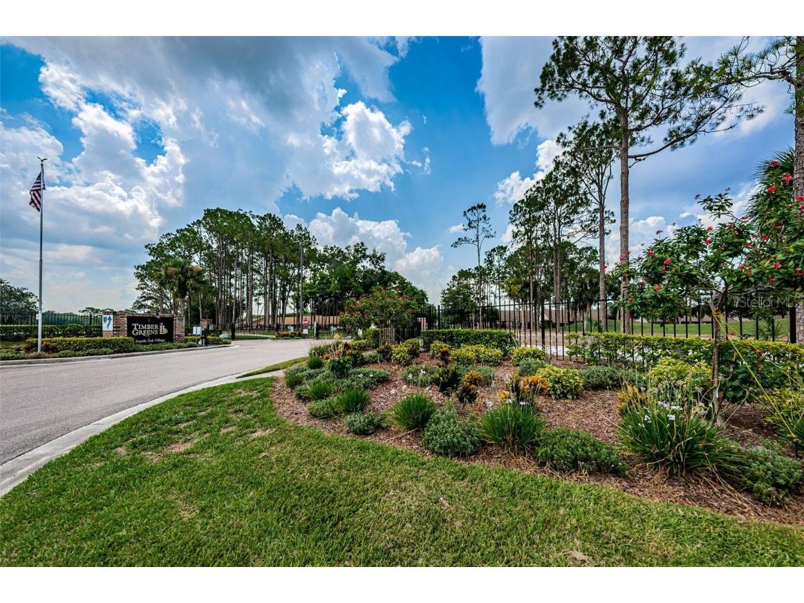 9713 Sweeping View Drive New Port Richey FL 34655 W7873274 image52