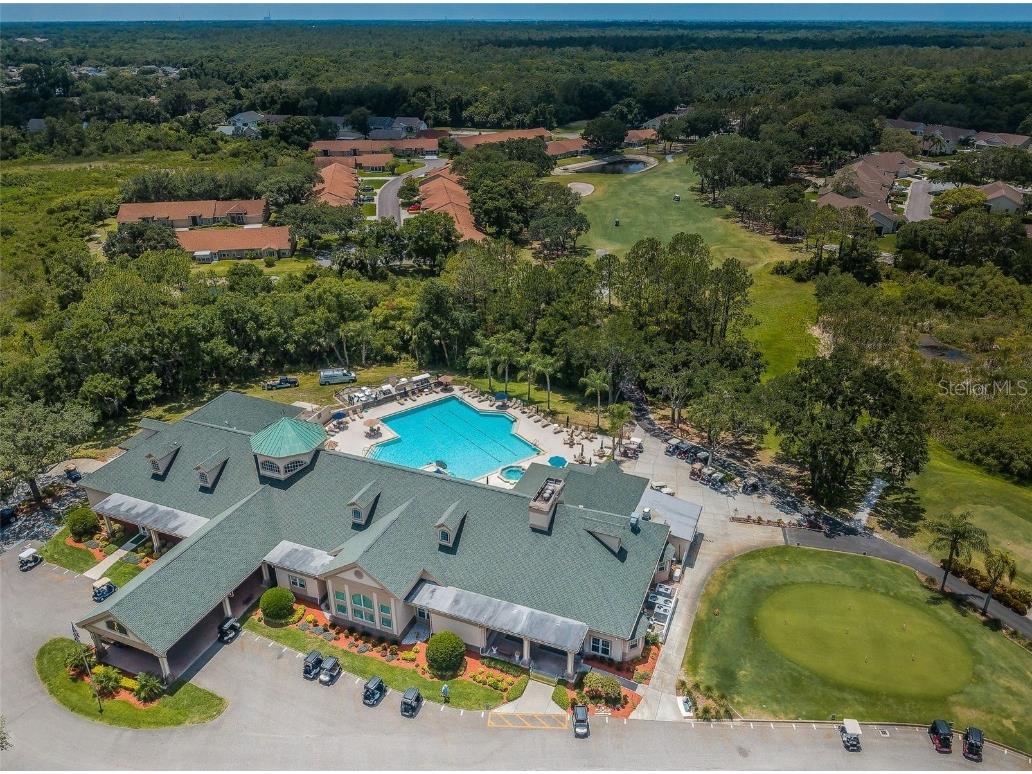 9713 Sweeping View Drive New Port Richey FL 34655 W7873274 image59