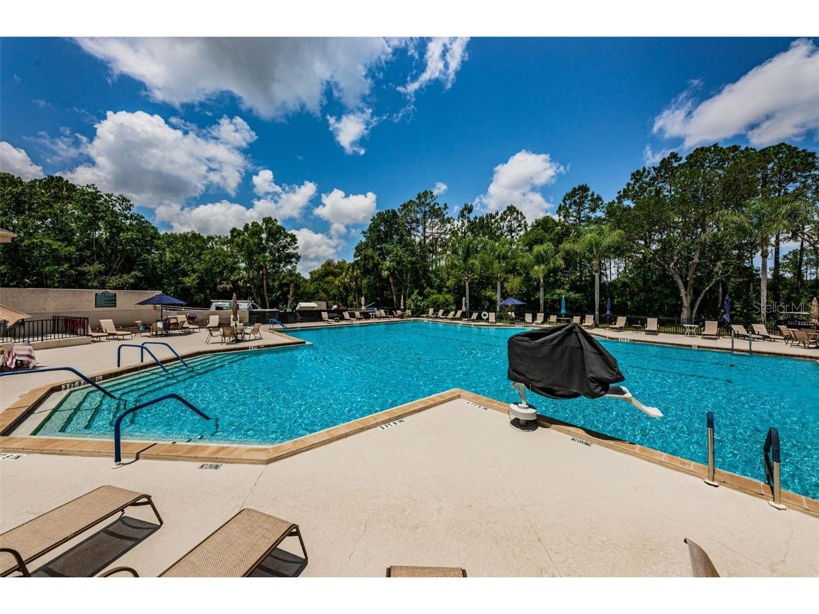 9713 Sweeping View Drive New Port Richey FL 34655 W7873274 image69