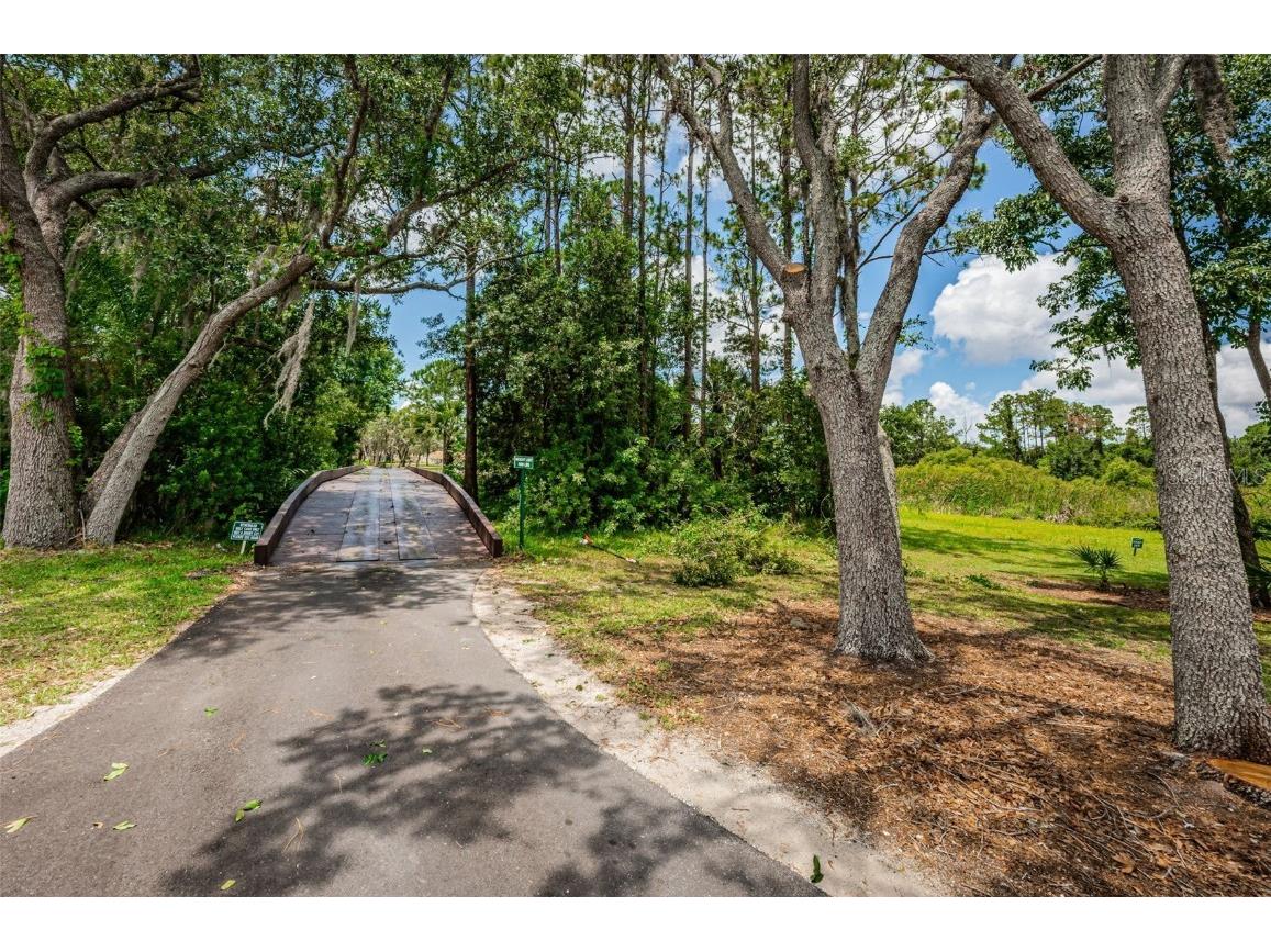9713 Sweeping View Drive New Port Richey FL 34655 W7873274 image78