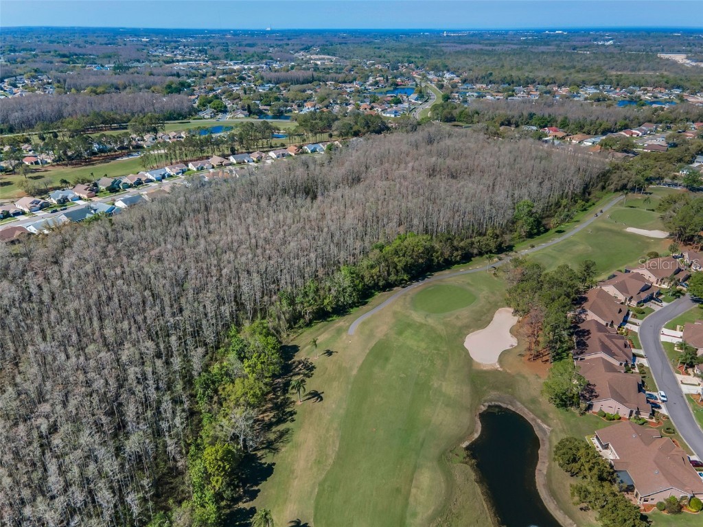 9713 Sweeping View Drive New Port Richey FL 34655 W7881825 image36