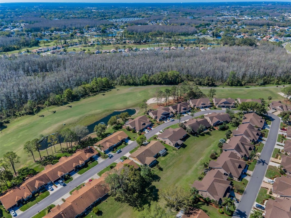 9713 Sweeping View Drive New Port Richey FL 34655 W7881825 image38