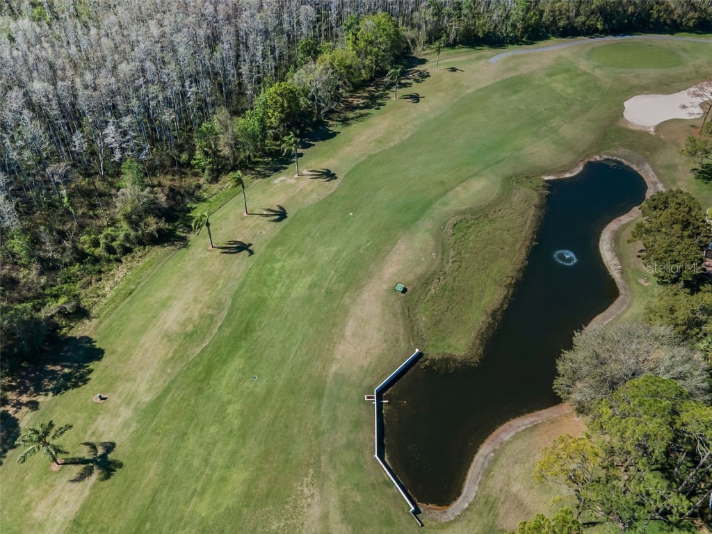 9713 Sweeping View Drive New Port Richey FL 34655 W7881825 image39