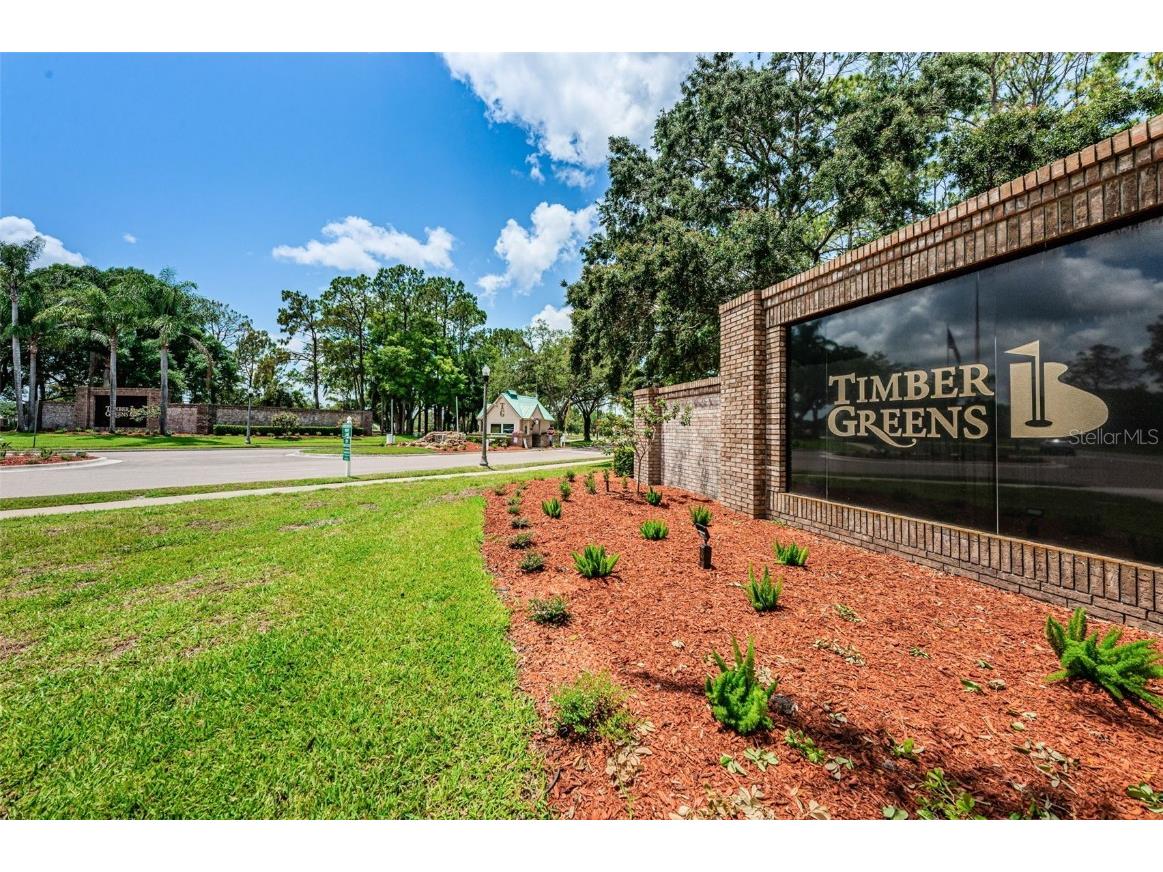 9713 Sweeping View Drive New Port Richey FL 34655 W7881825 image45