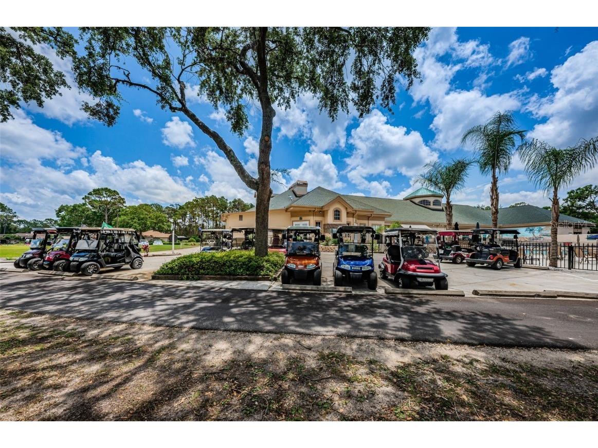 9713 Sweeping View Drive New Port Richey FL 34655 W7881825 image64