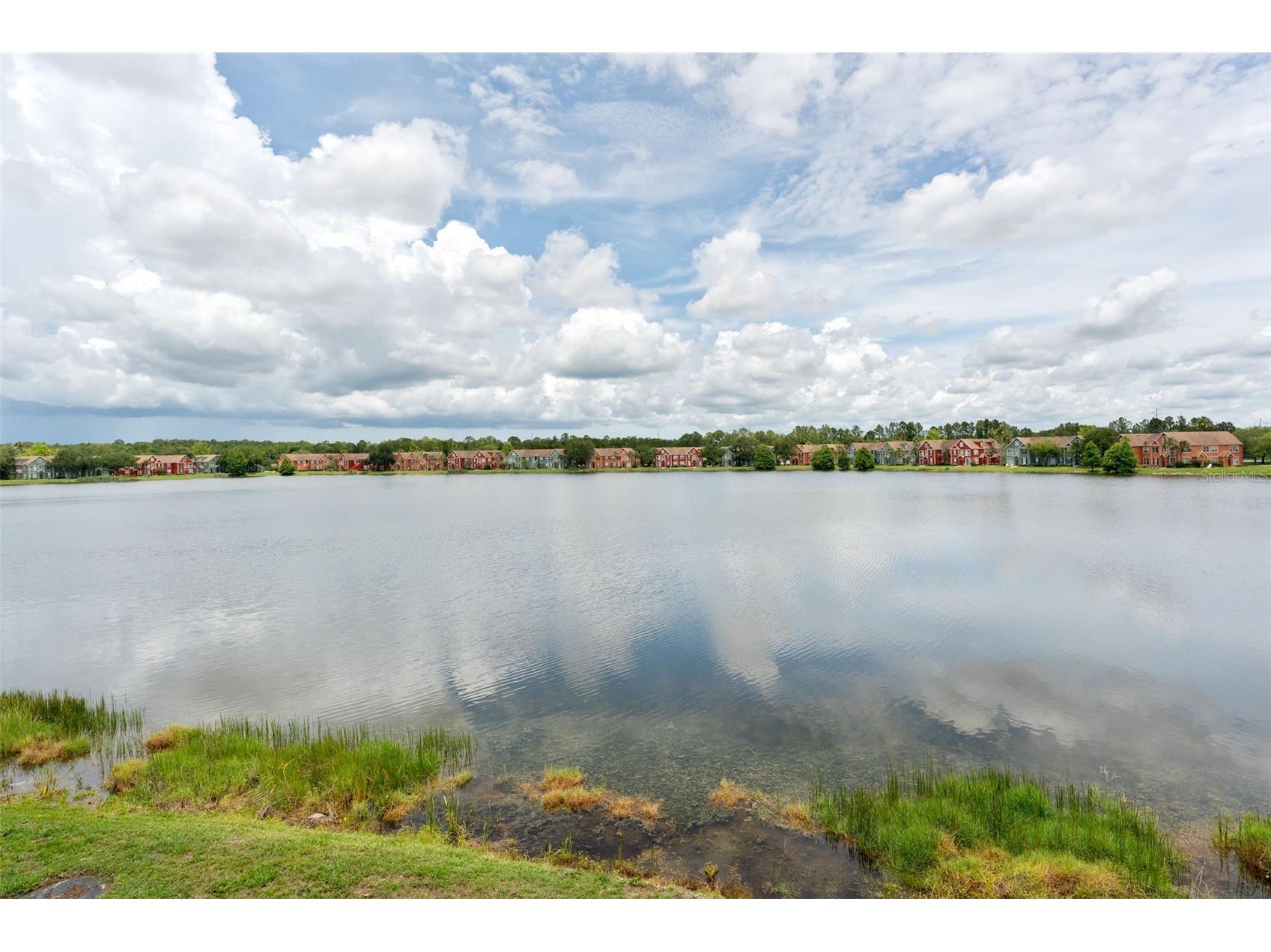 9714 Lake Chase Island Way Tampa FL 33626 TB8513981 image30