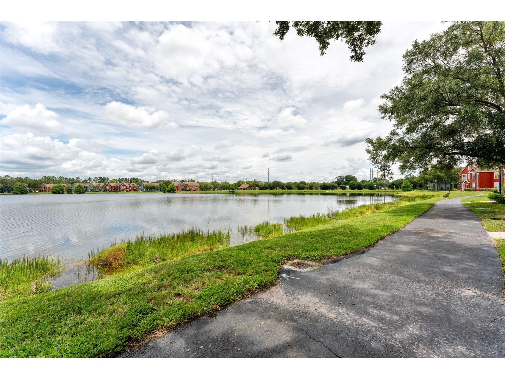 9714 Lake Chase Island Way Tampa FL 33626 TB8513981 image31