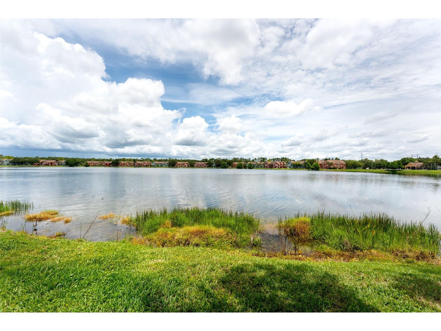 9714 Lake Chase Island Way Tampa FL 33626 TB8513981 image32