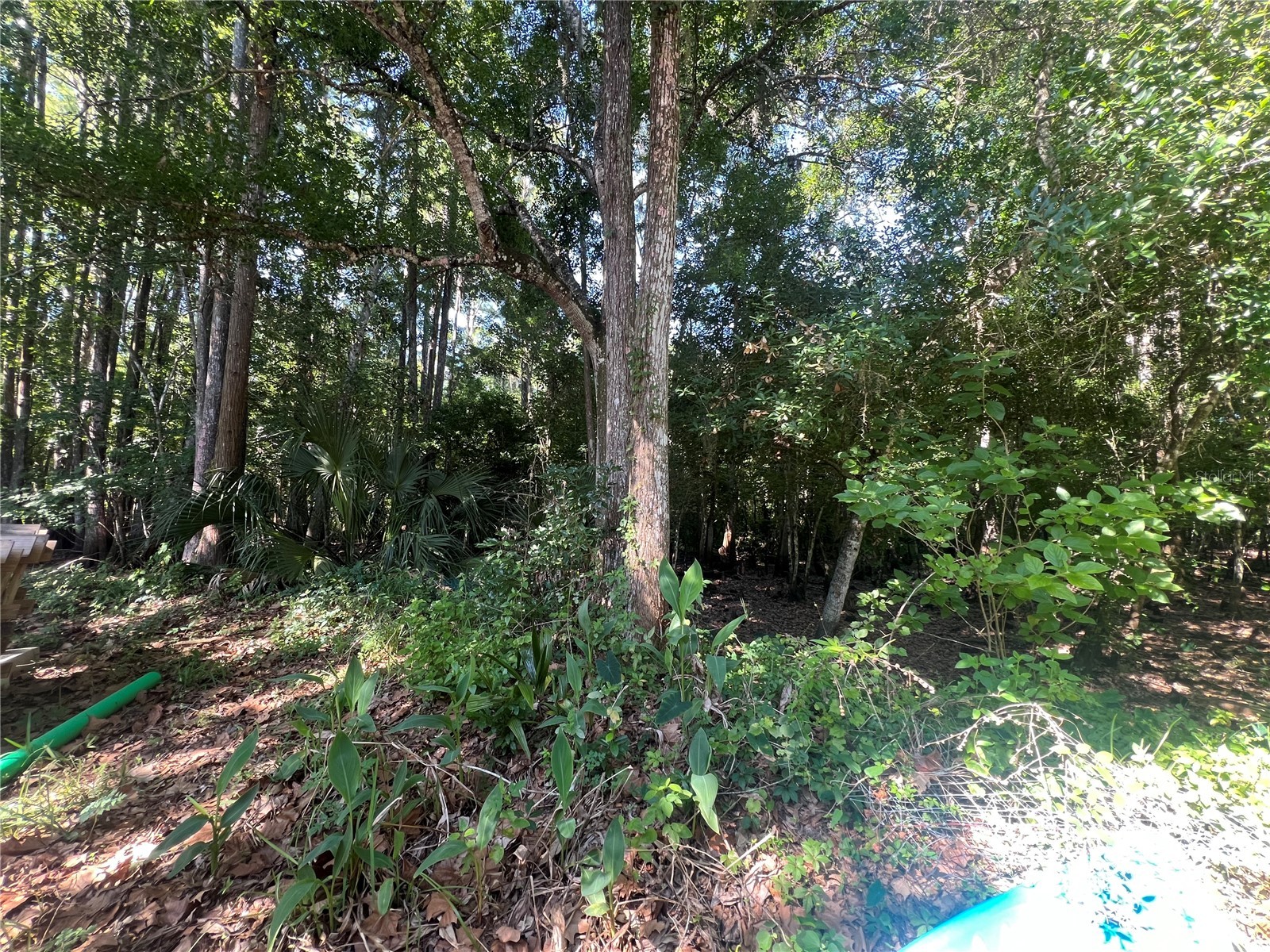 9714 Mendel Drive New Port Richey FL 34654 TB8508707 image21