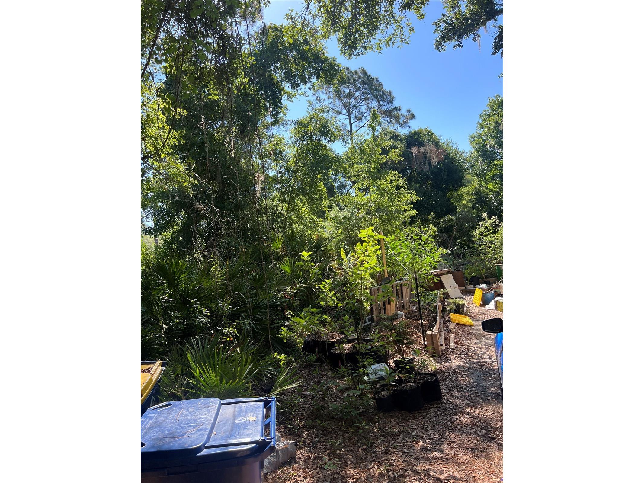 9714 Mendel Drive New Port Richey FL 34654 TB8508707 image23