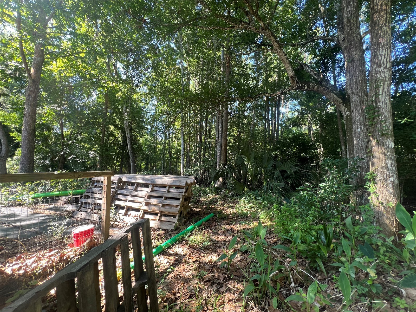 9714 Mendel Drive New Port Richey FL 34654 TB8508707 image25