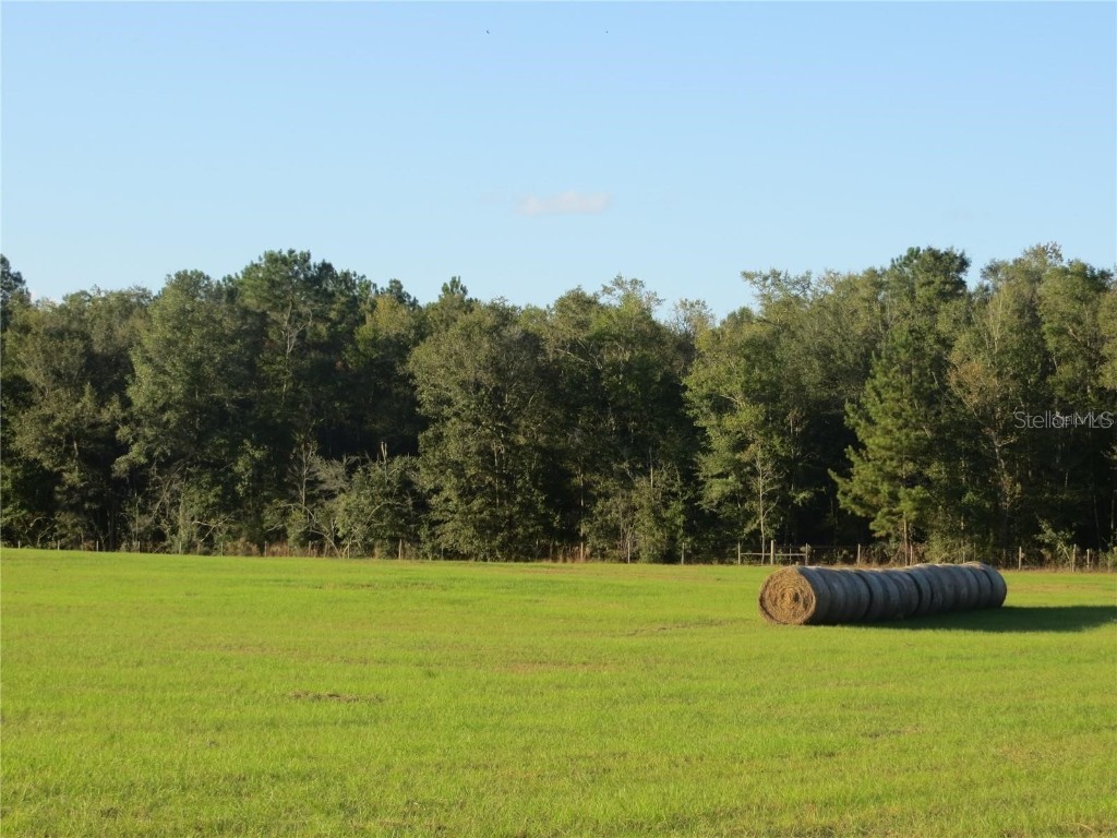 9714 NW 236th Terrace Alachua FL 32615 GC531623 image1