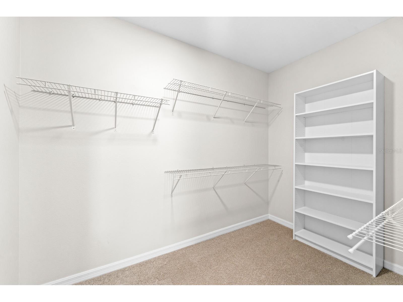 9714 Oak Ranch Crescent Court Thonotosassa FL 33592 TB8491978 image21