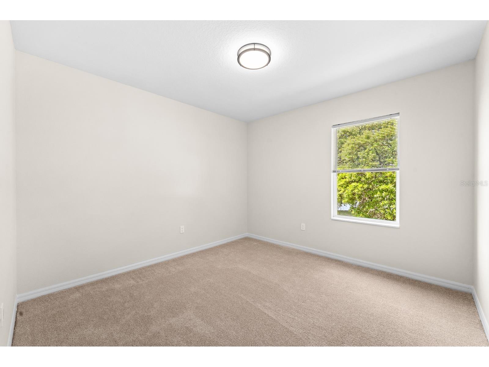 9714 Oak Ranch Crescent Court Thonotosassa FL 33592 TB8491978 image25