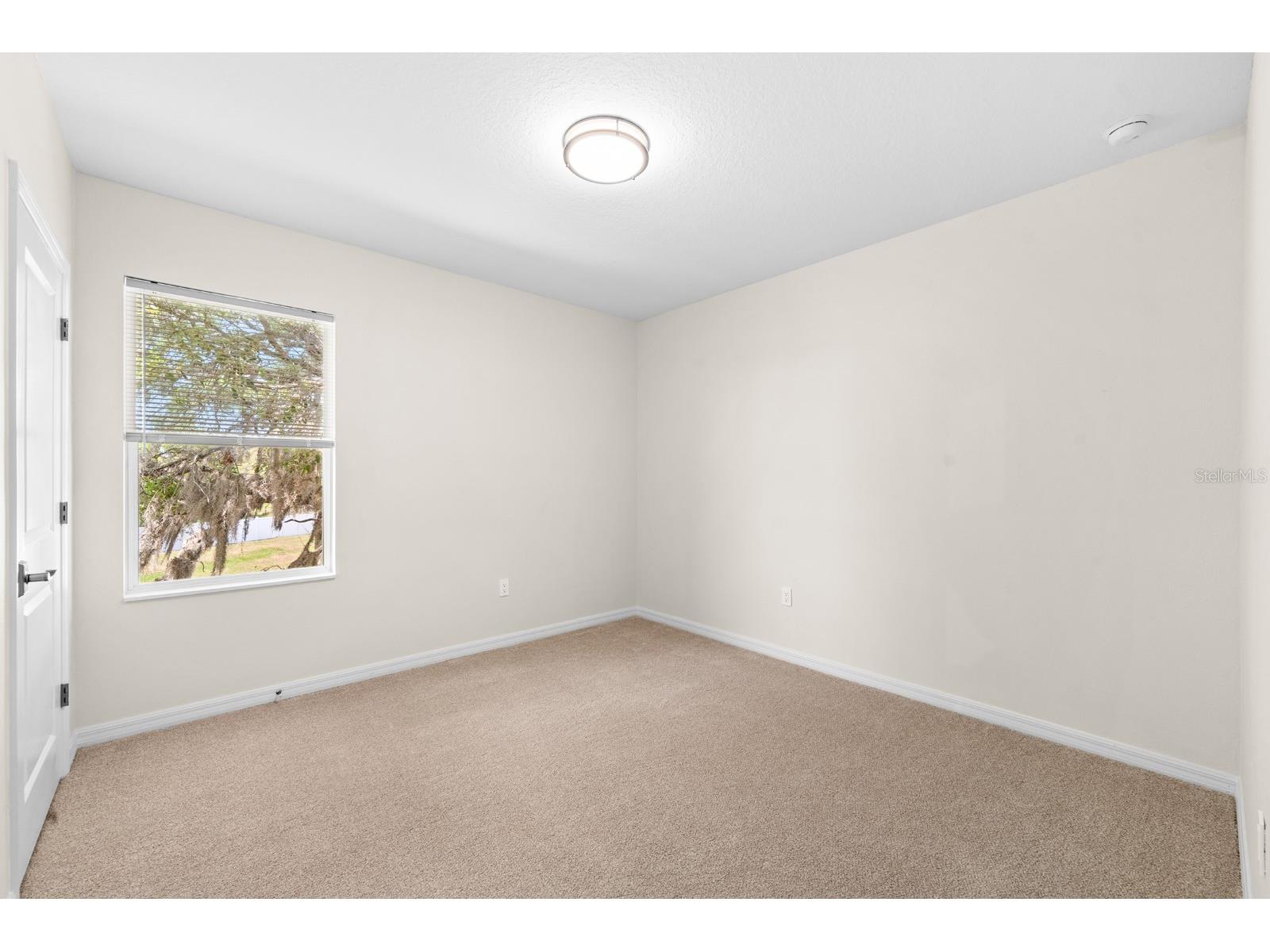 9714 Oak Ranch Crescent Court Thonotosassa FL 33592 TB8491978 image26