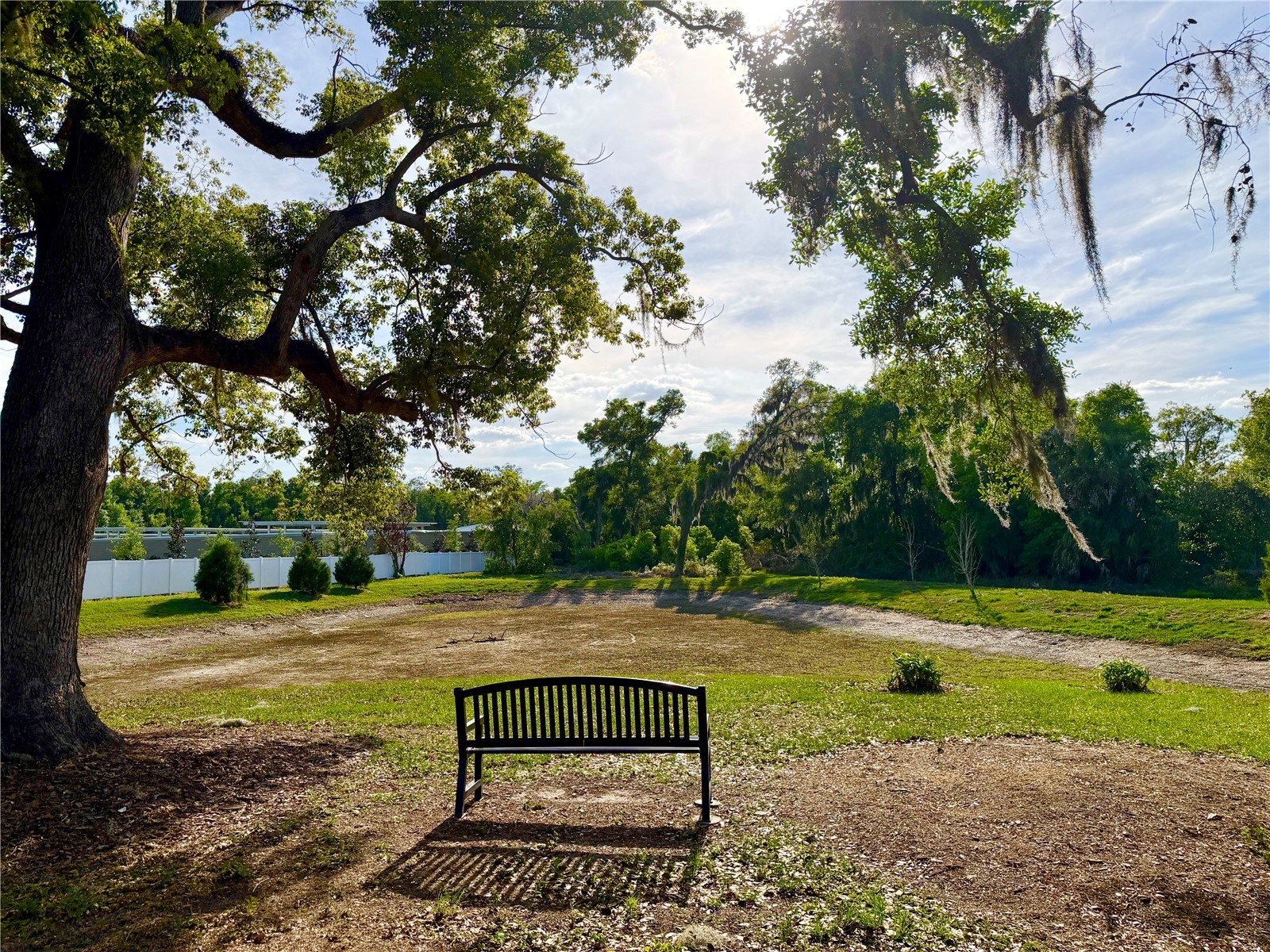 9714 Oak Ranch Crescent Court Thonotosassa FL 33592 TB8491978 image38