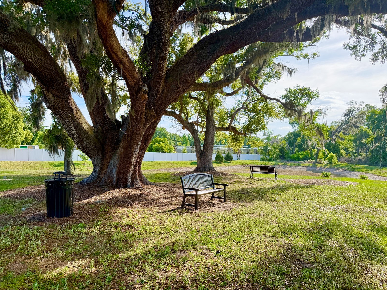 9714 Oak Ranch Crescent Court Thonotosassa FL 33592 TB8491978 image39